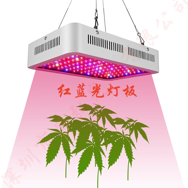 详情图_06_副本.jpg